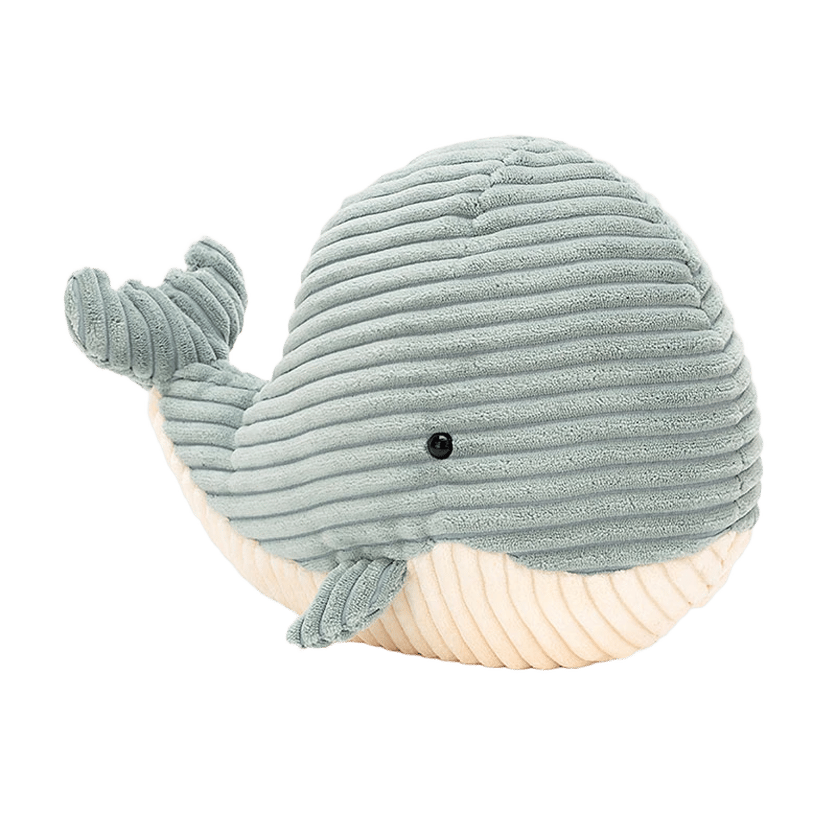Cordy Roy Whale