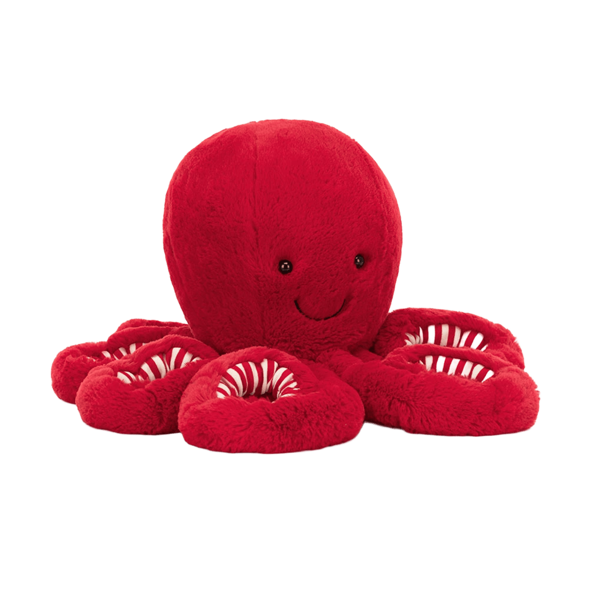 Cranberry Octopus