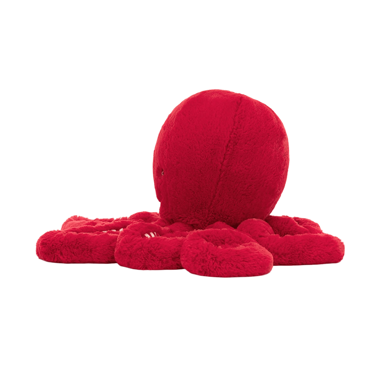 Cranberry Octopus