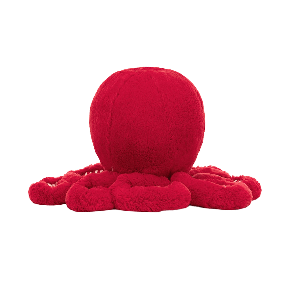 Cranberry Octopus