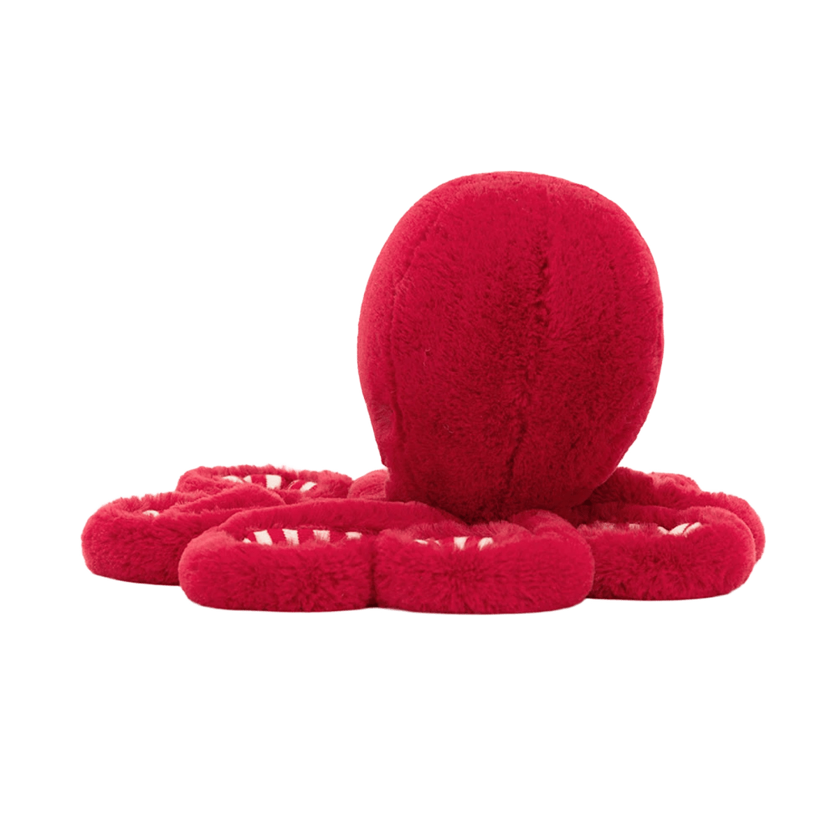 Cranberry Octopus