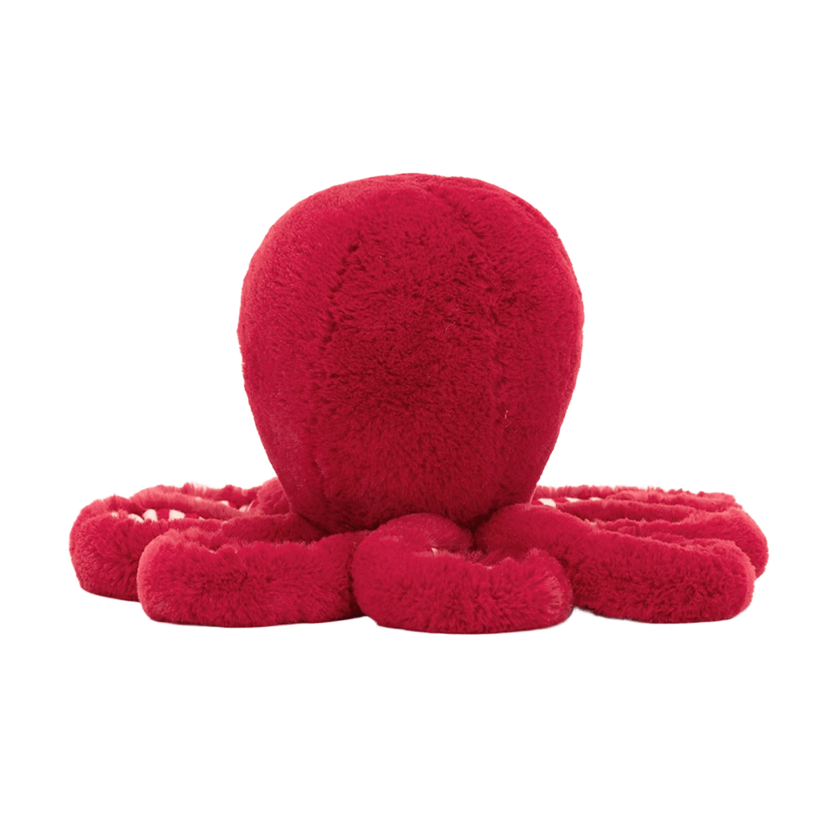 Cranberry Octopus