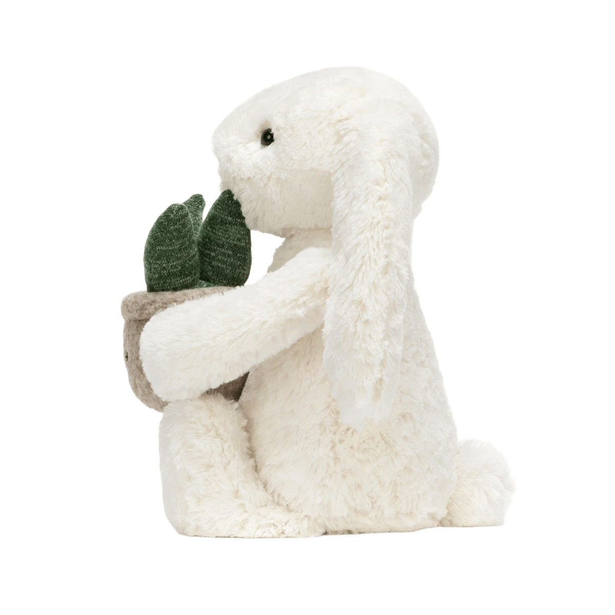 Cream Bunny with Plant