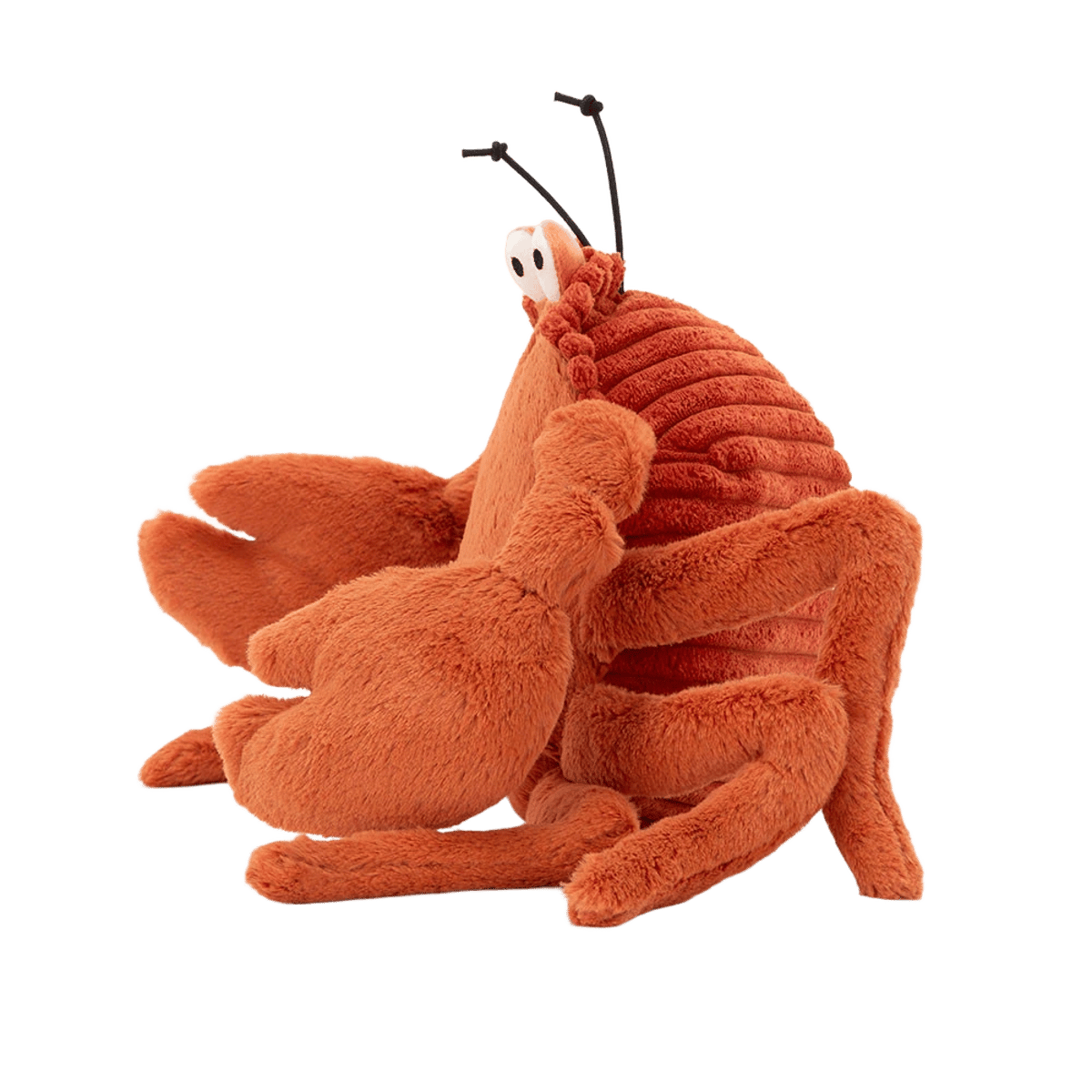 Crispin Crab