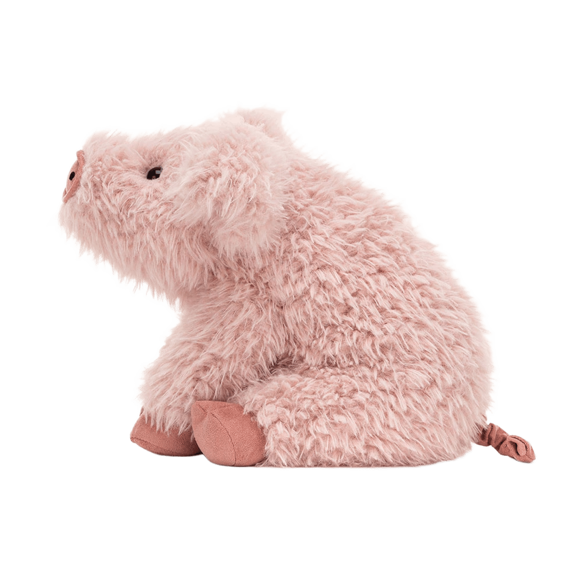 Curvie Pig