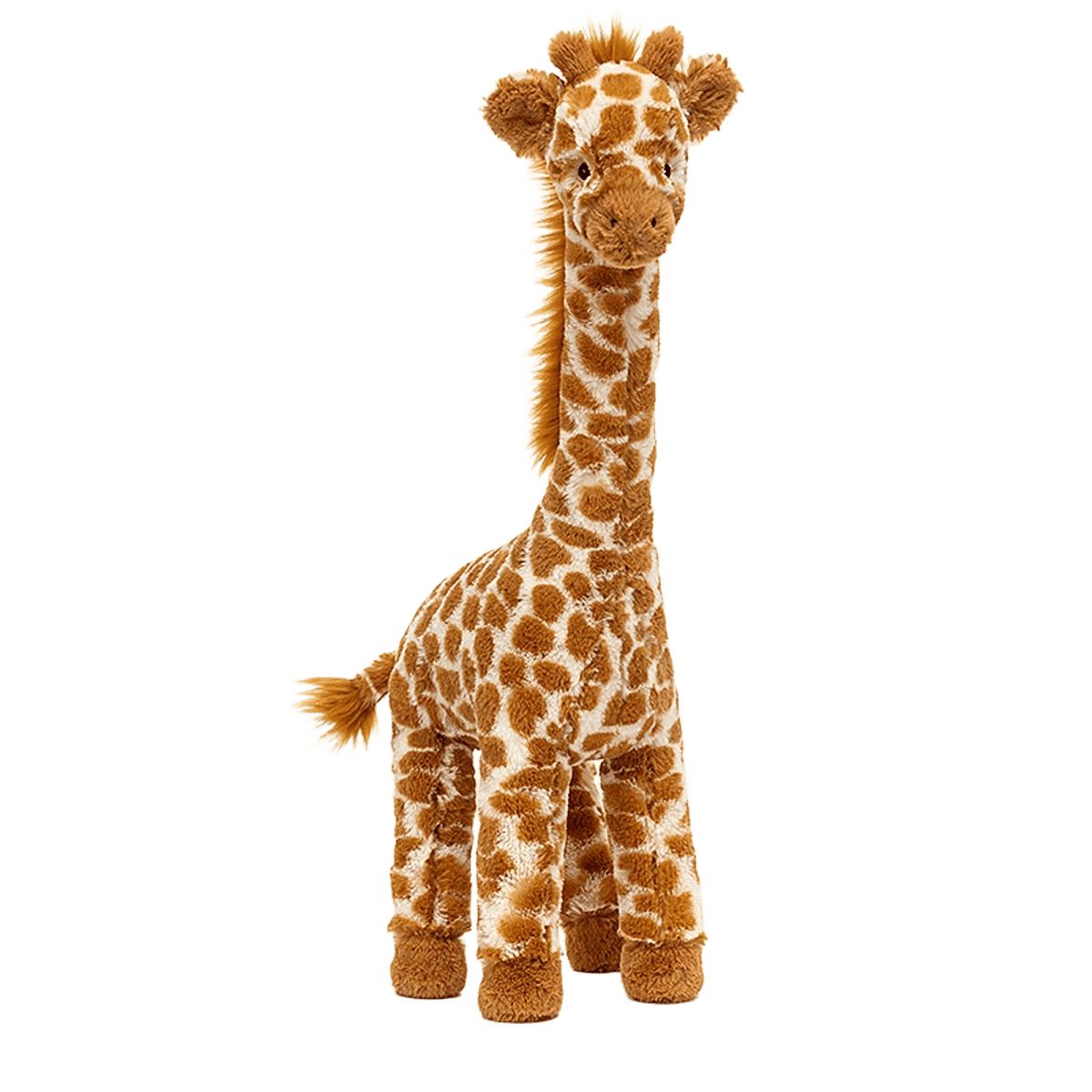Dakota Giraffe