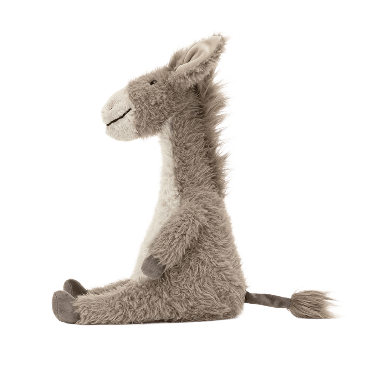Dario Donkey