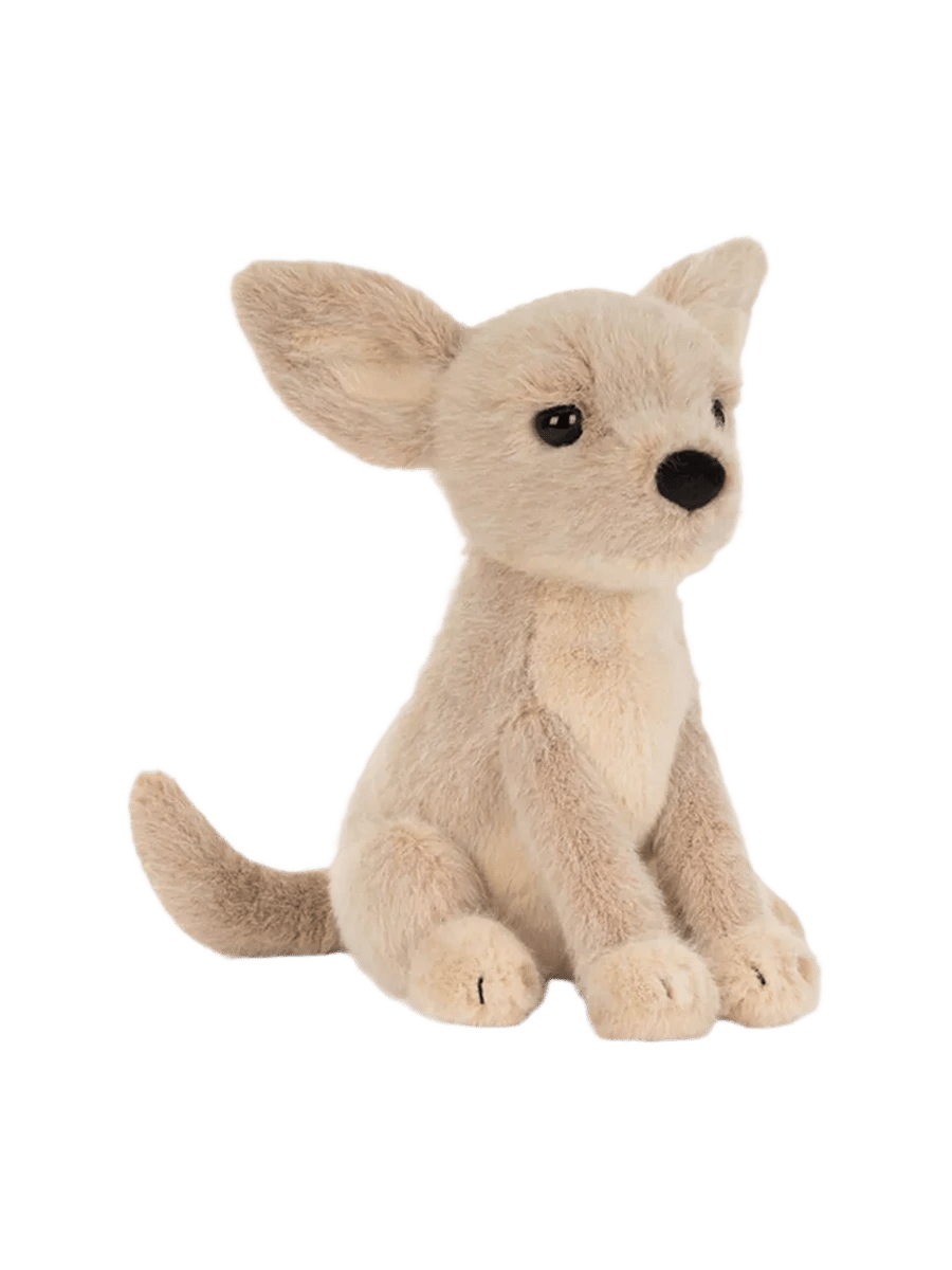 Yapsby Chihuahua 