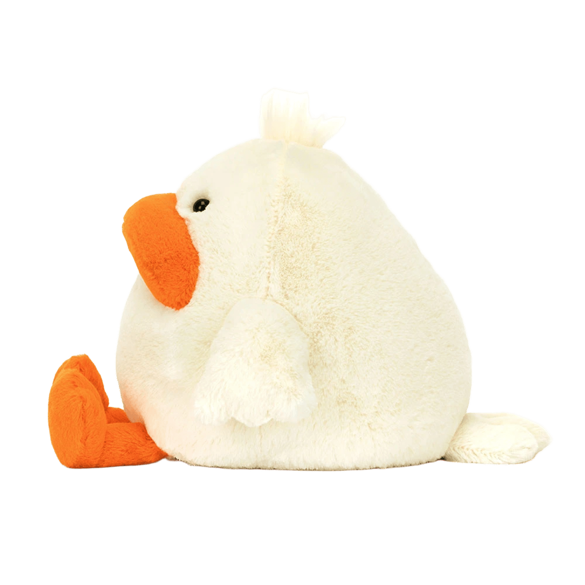 Delia Duck