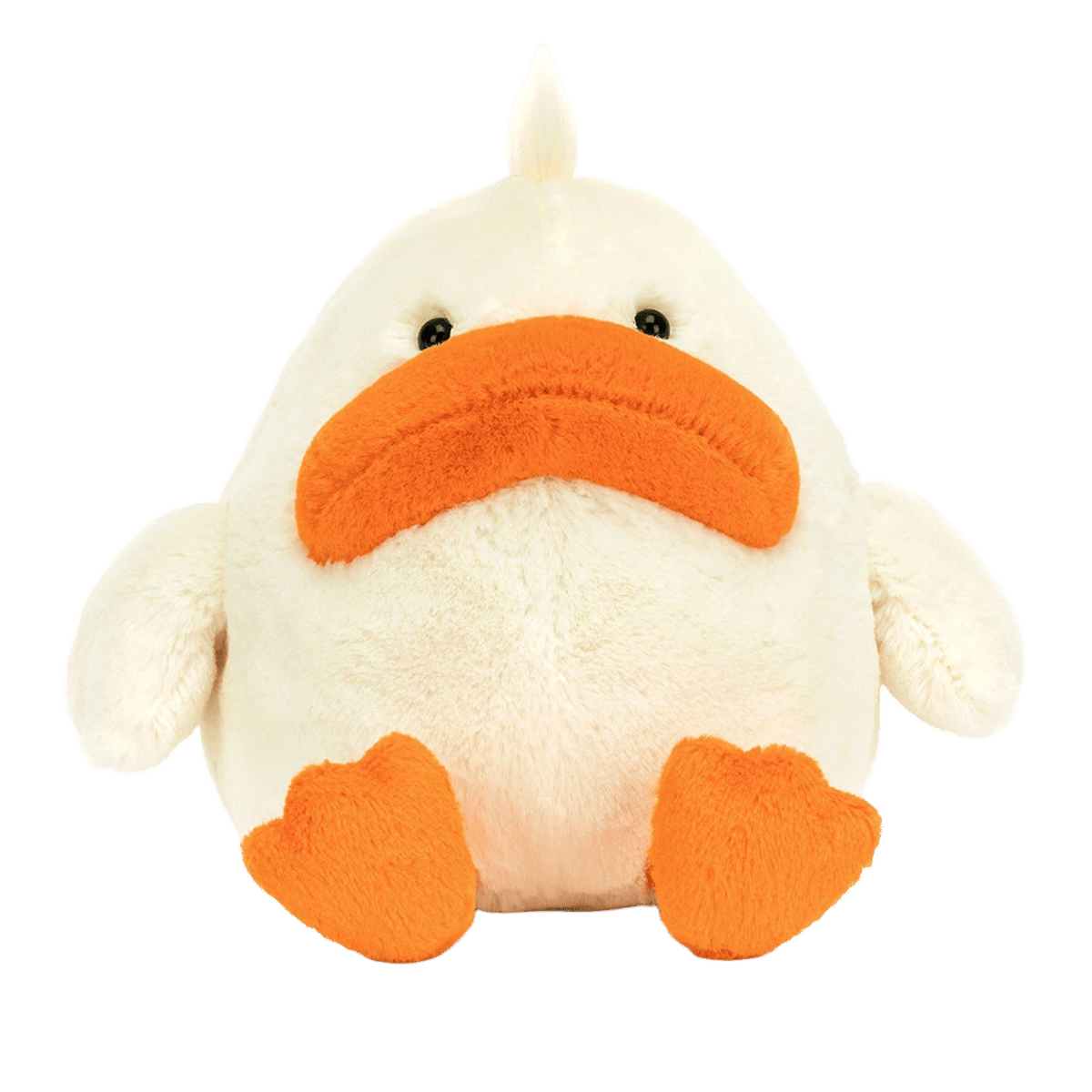 Delia Duck