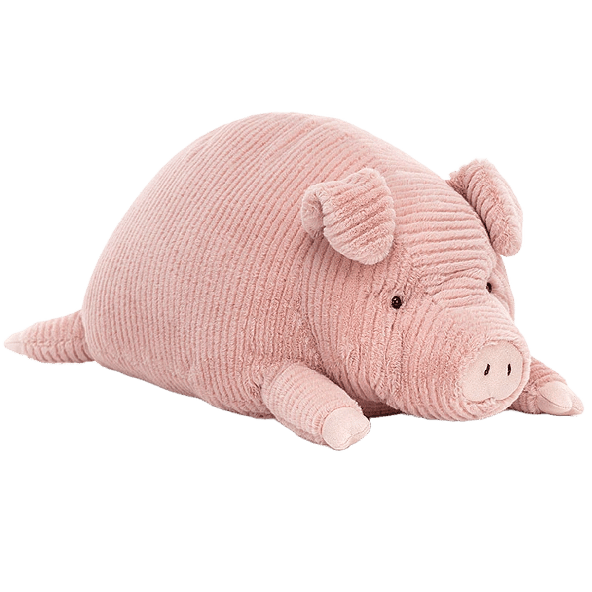 Doopity Pig