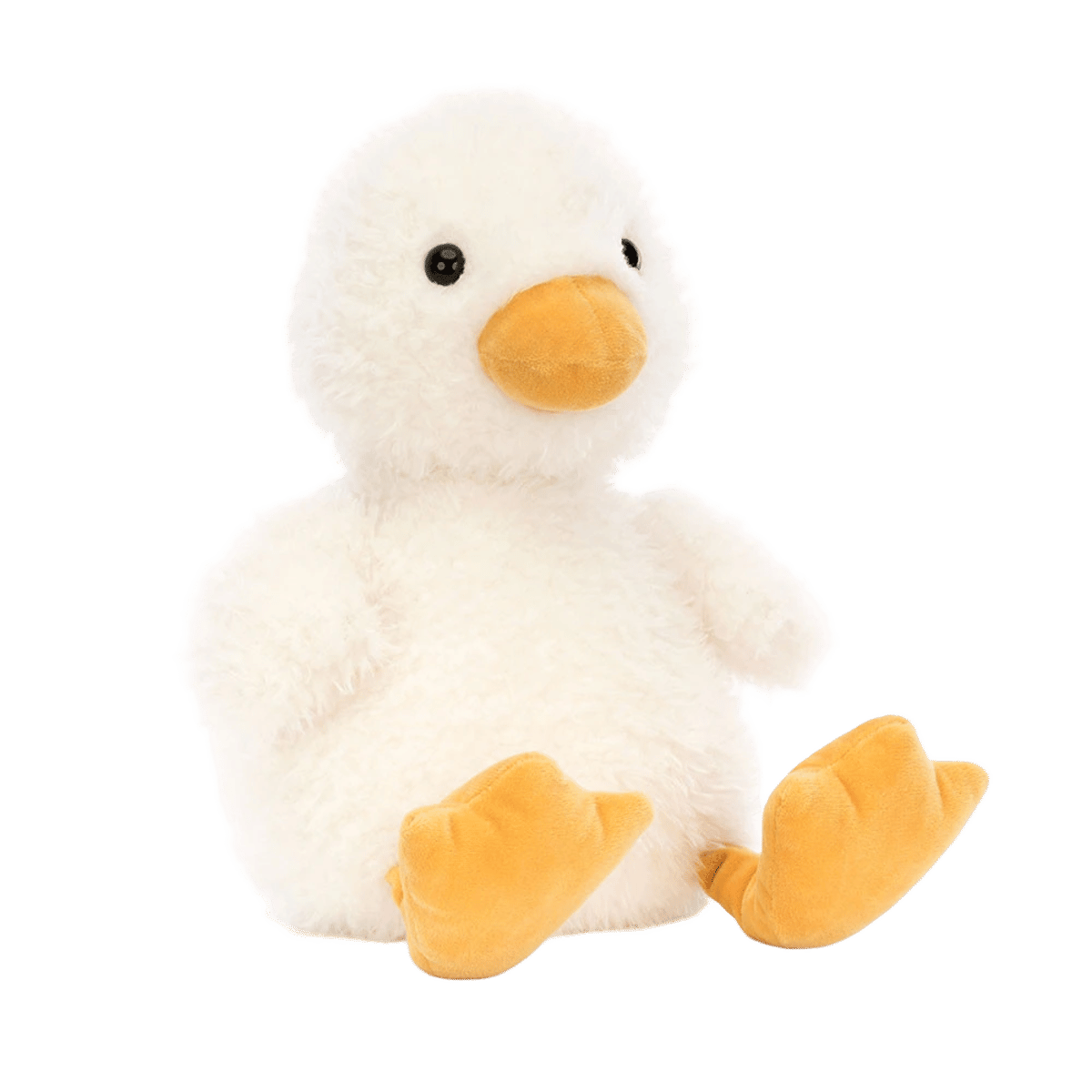 Dory Duck