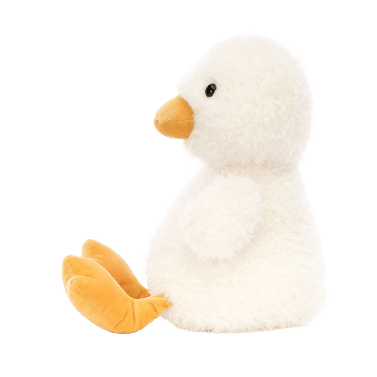 Dory Duck