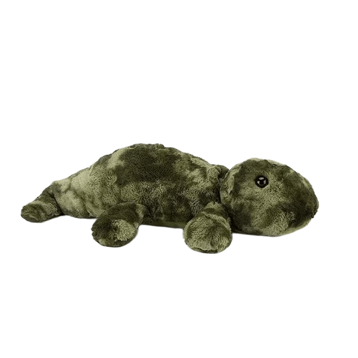 Amphibious Fred