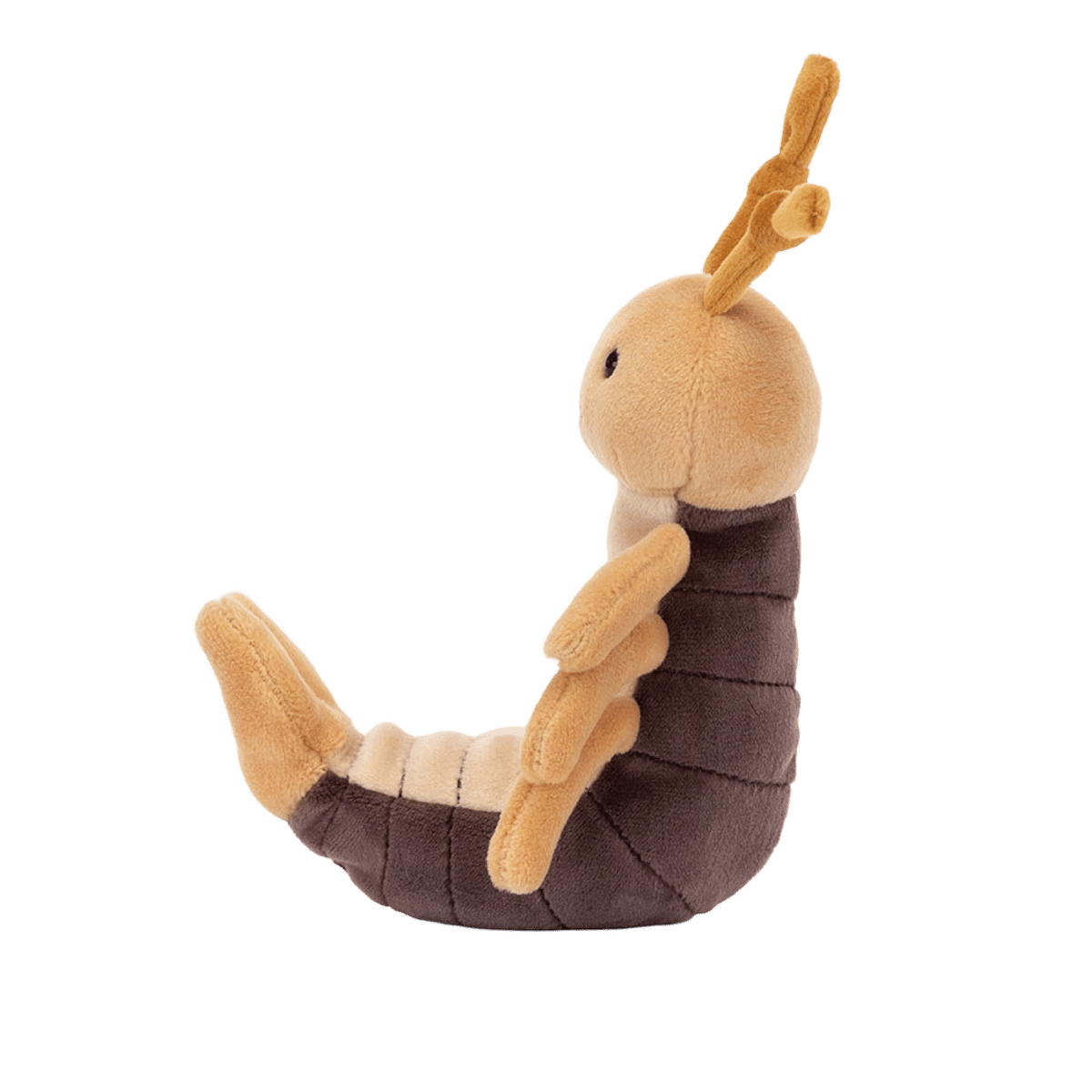 Ernie Earwig