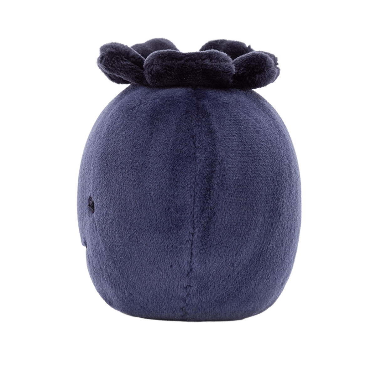 Fabulous Fruit Blueberry