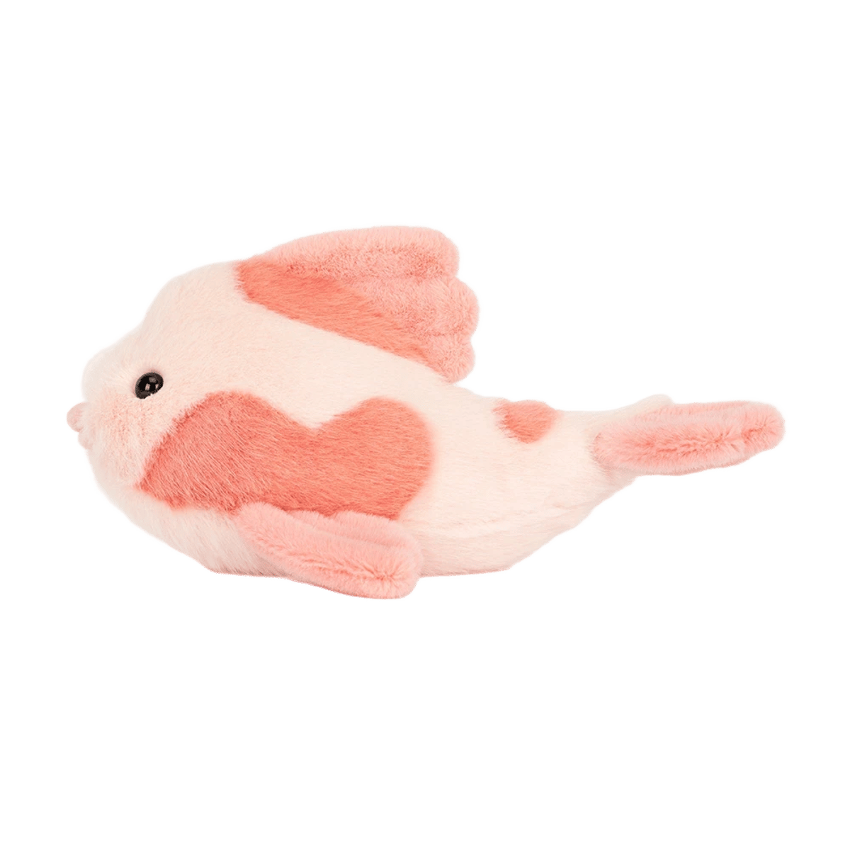 Fancy Carp