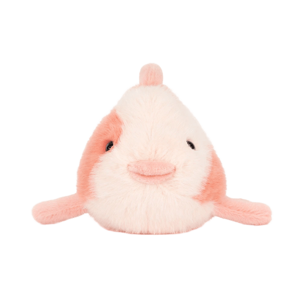 Fancy Carp