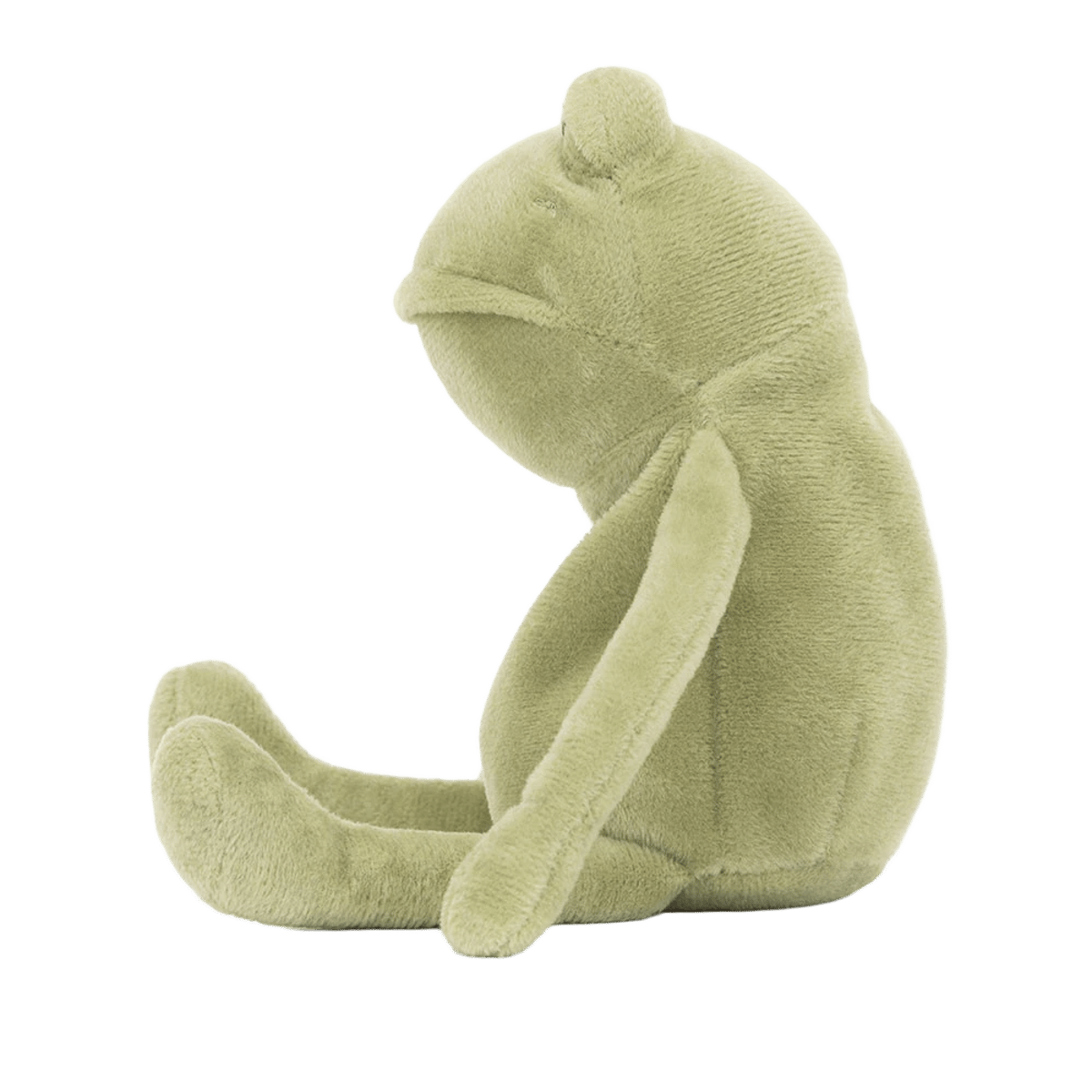 Fergus Frog