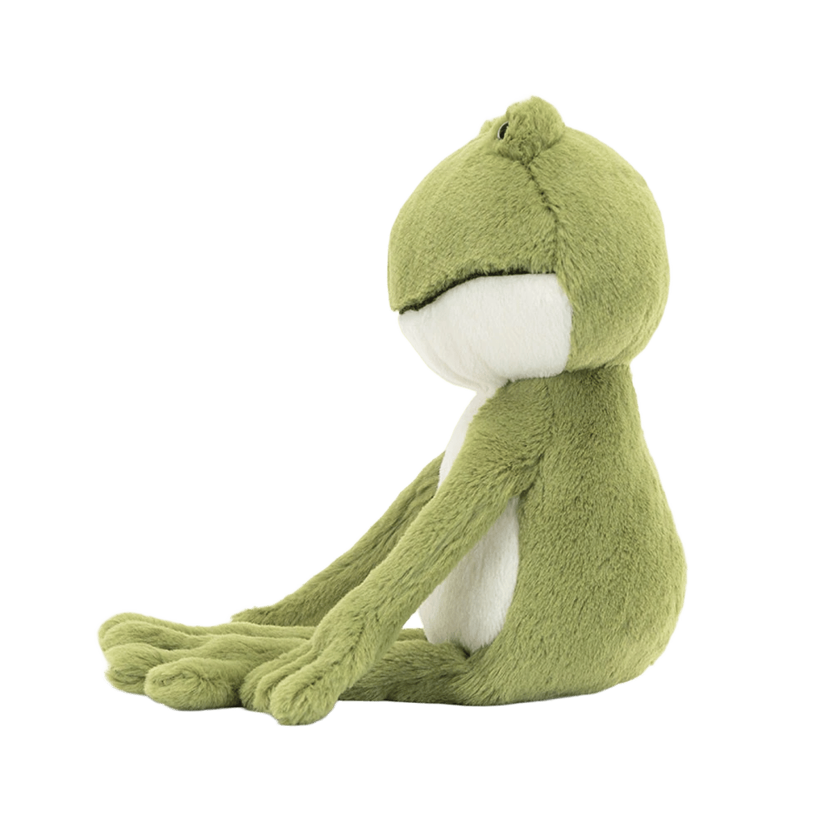 Finnegan Frog