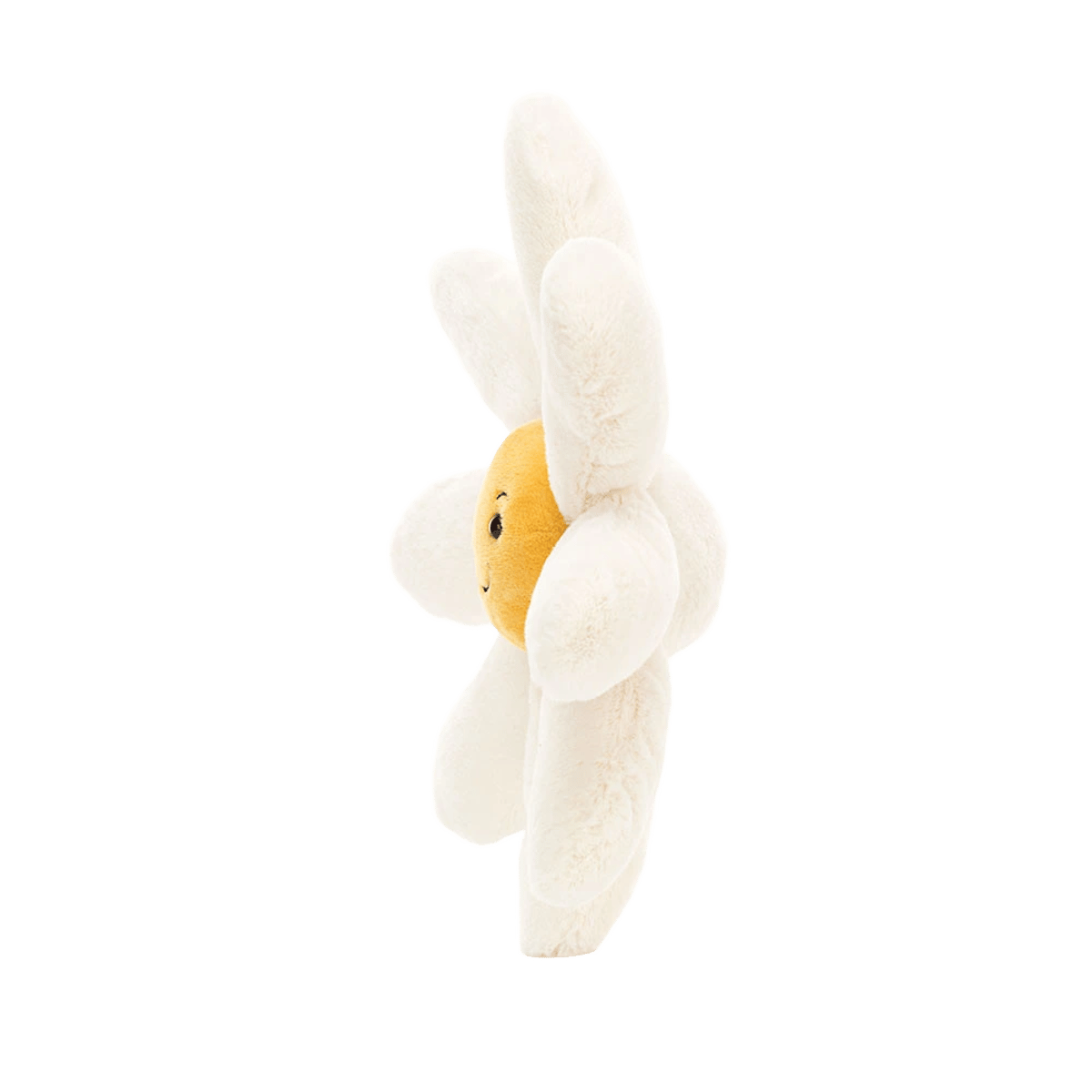 Fleury Daisy