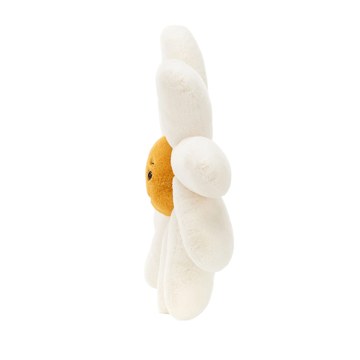 Fleury Daisy