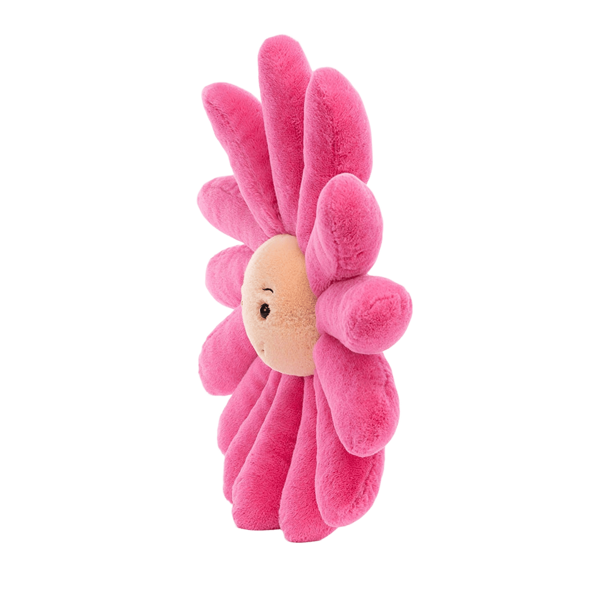 Fleury Gerbera
