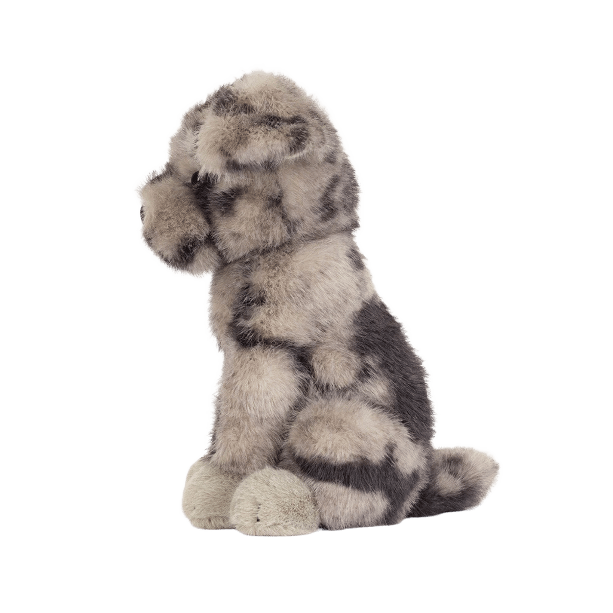 Fluff Rescue Dog