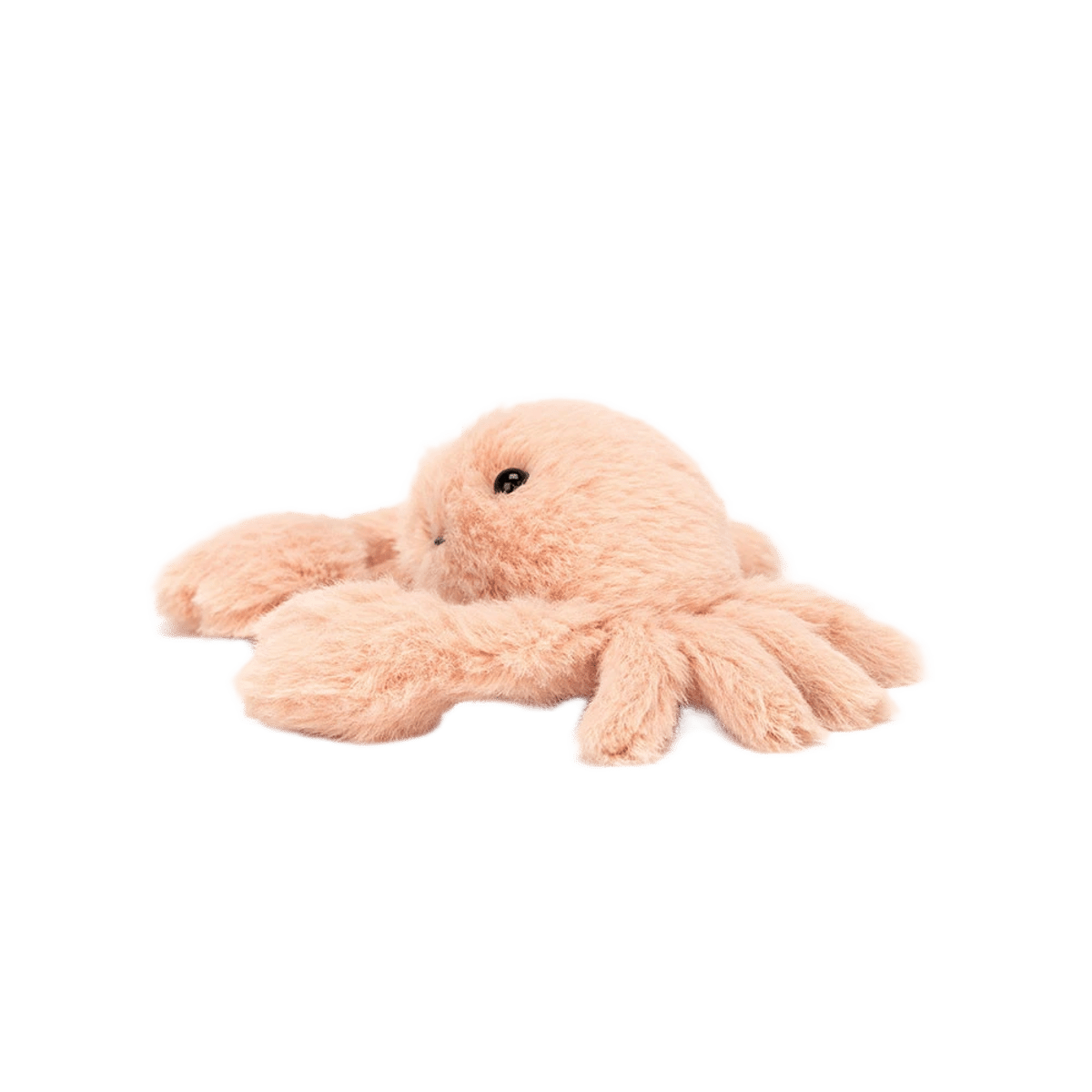 Fluffy Crab