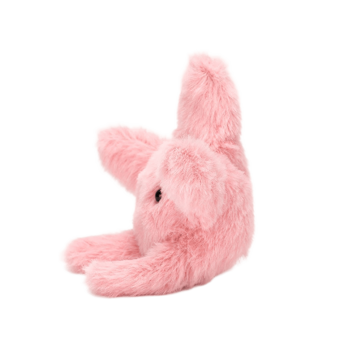 Fluffy Starfish