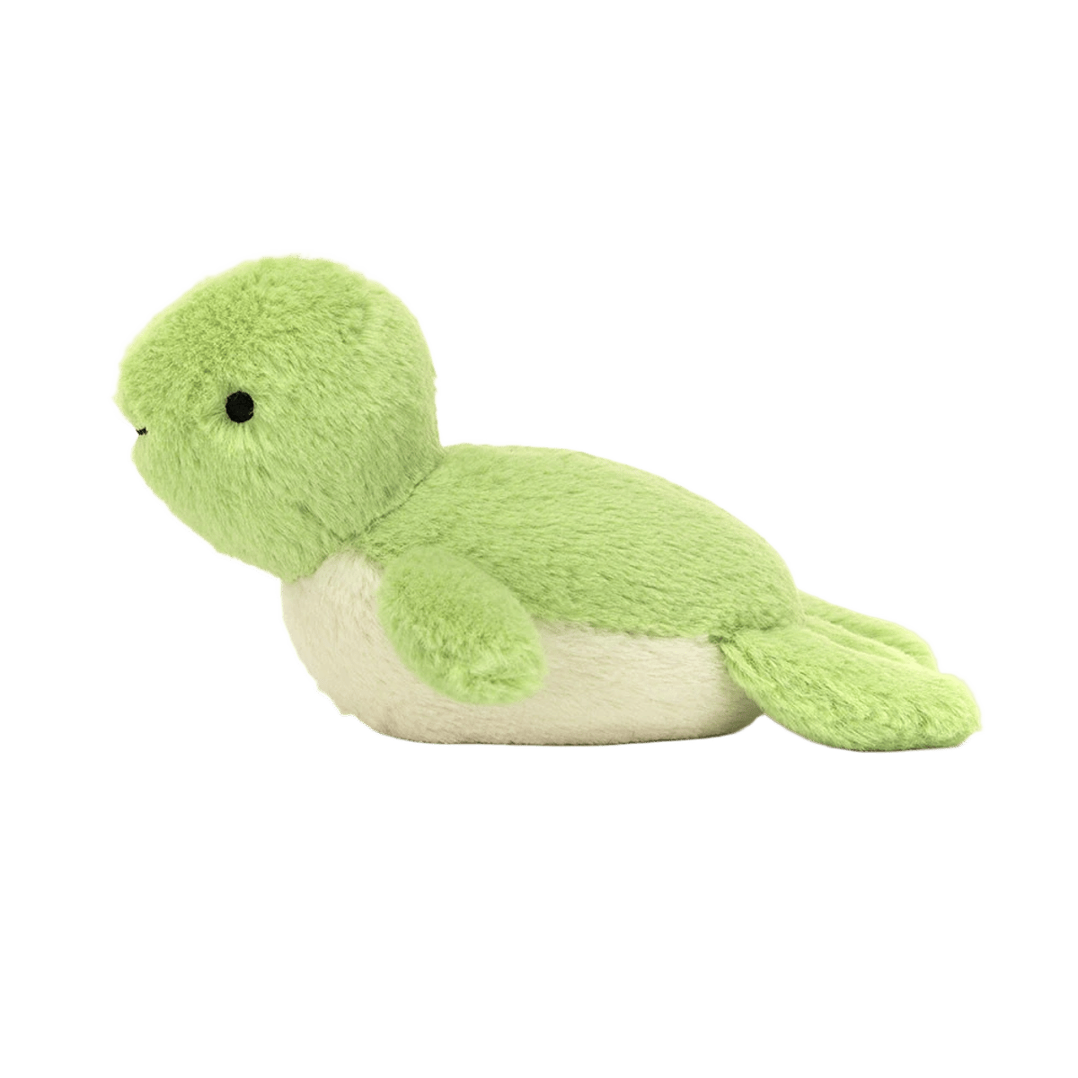 Fluffy Turtle
