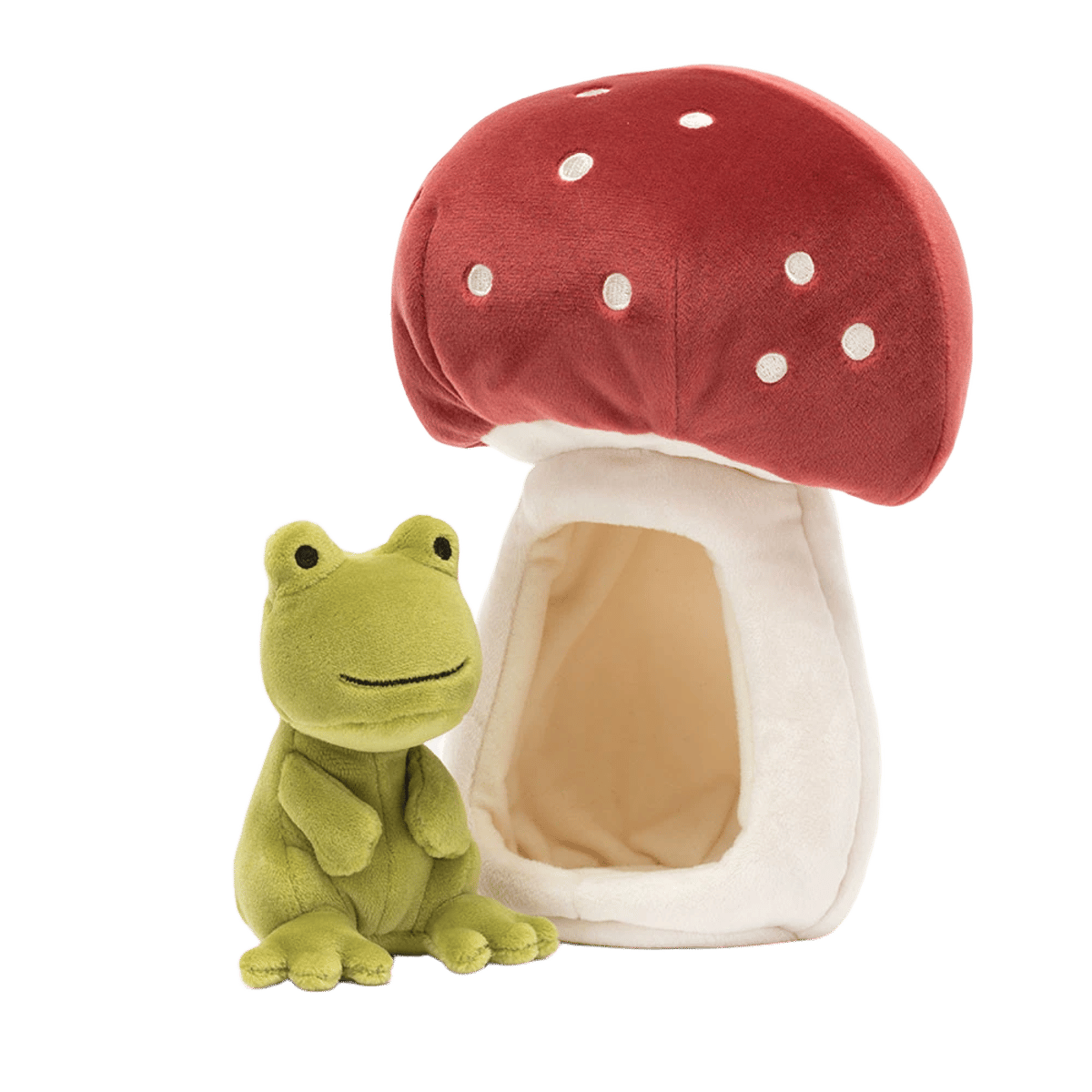 Forest Fauna Frog