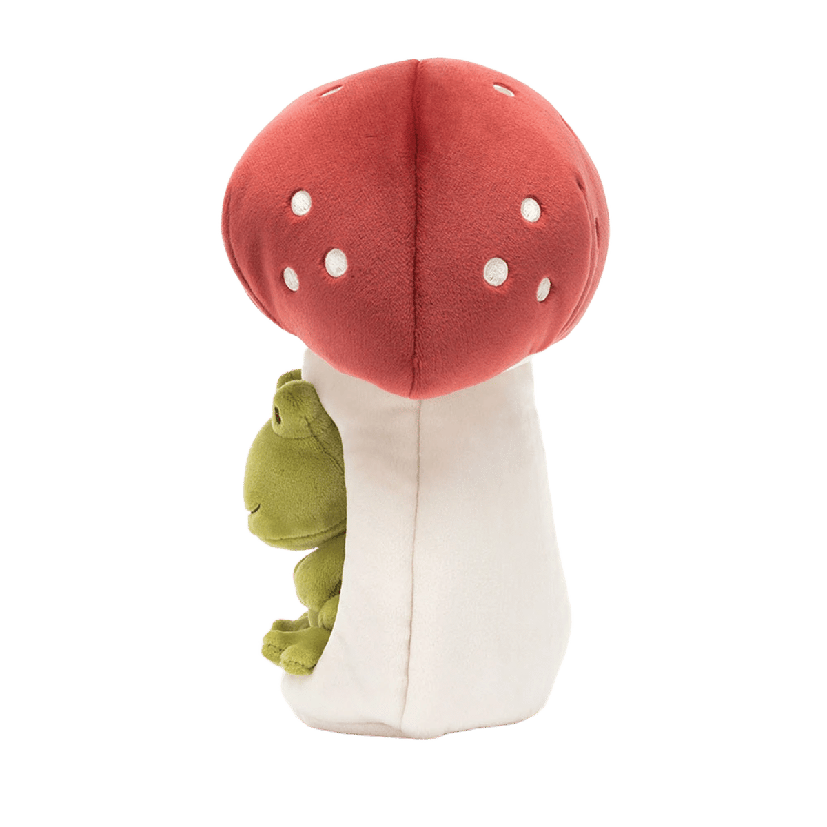 Forest Fauna Frog