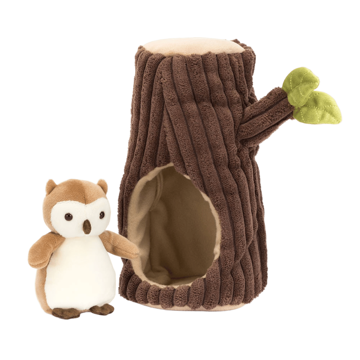 Forest Fauna Owl