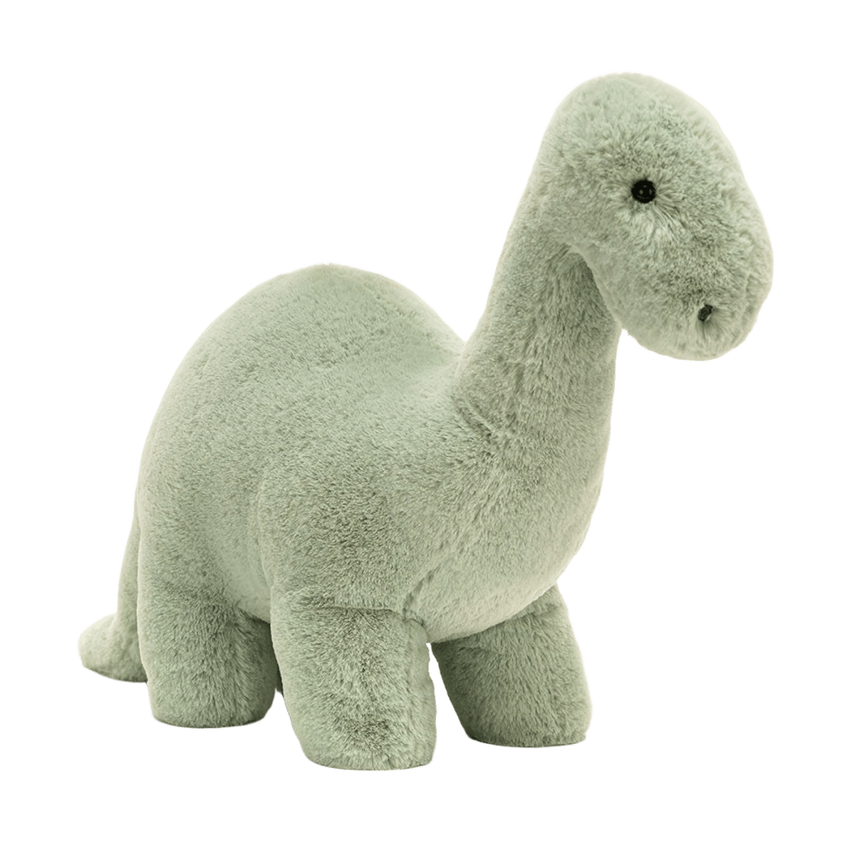 Fossilly Brontosaurus