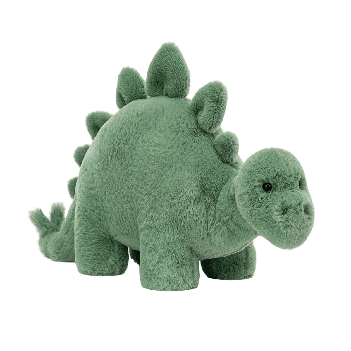 Fossilly Stegosaurus