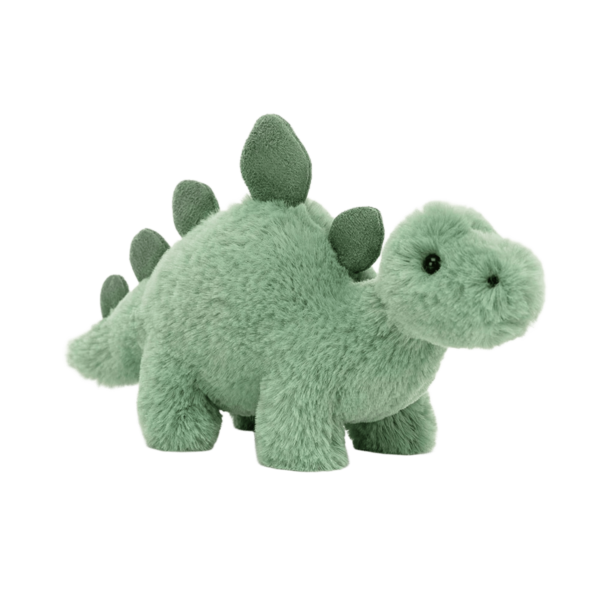 Fossilly Stegosaurus