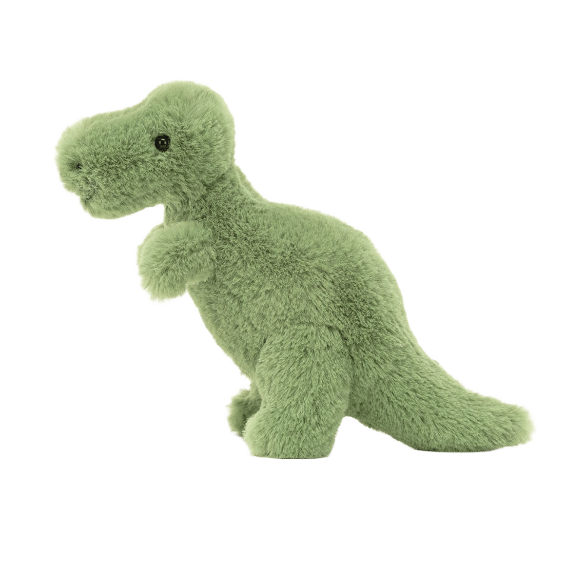 Fossilly T-Rex