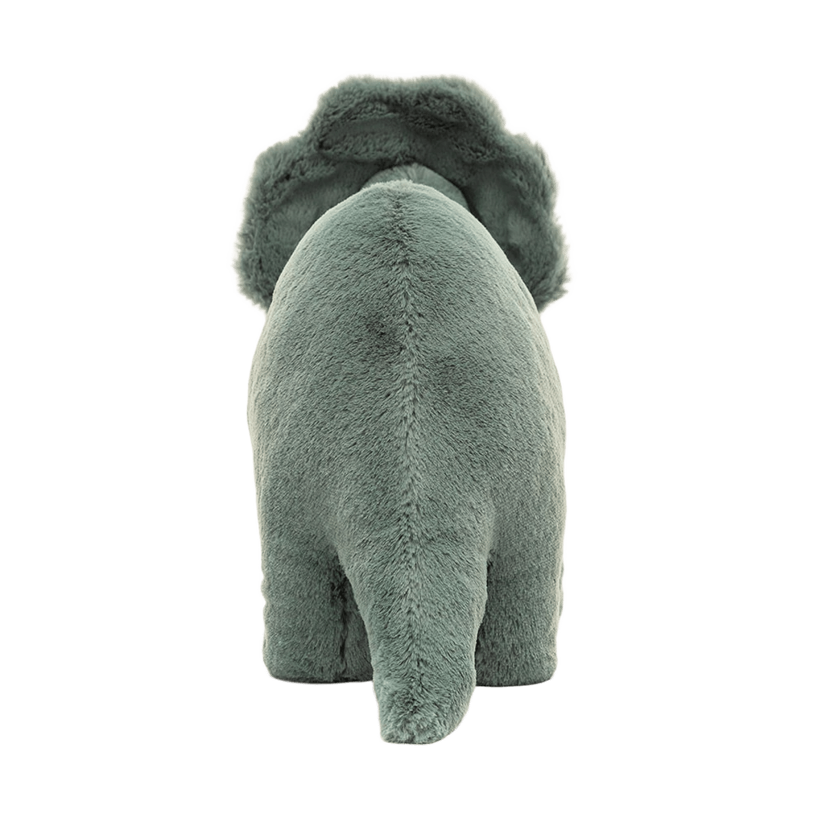Fossilly Triceratops