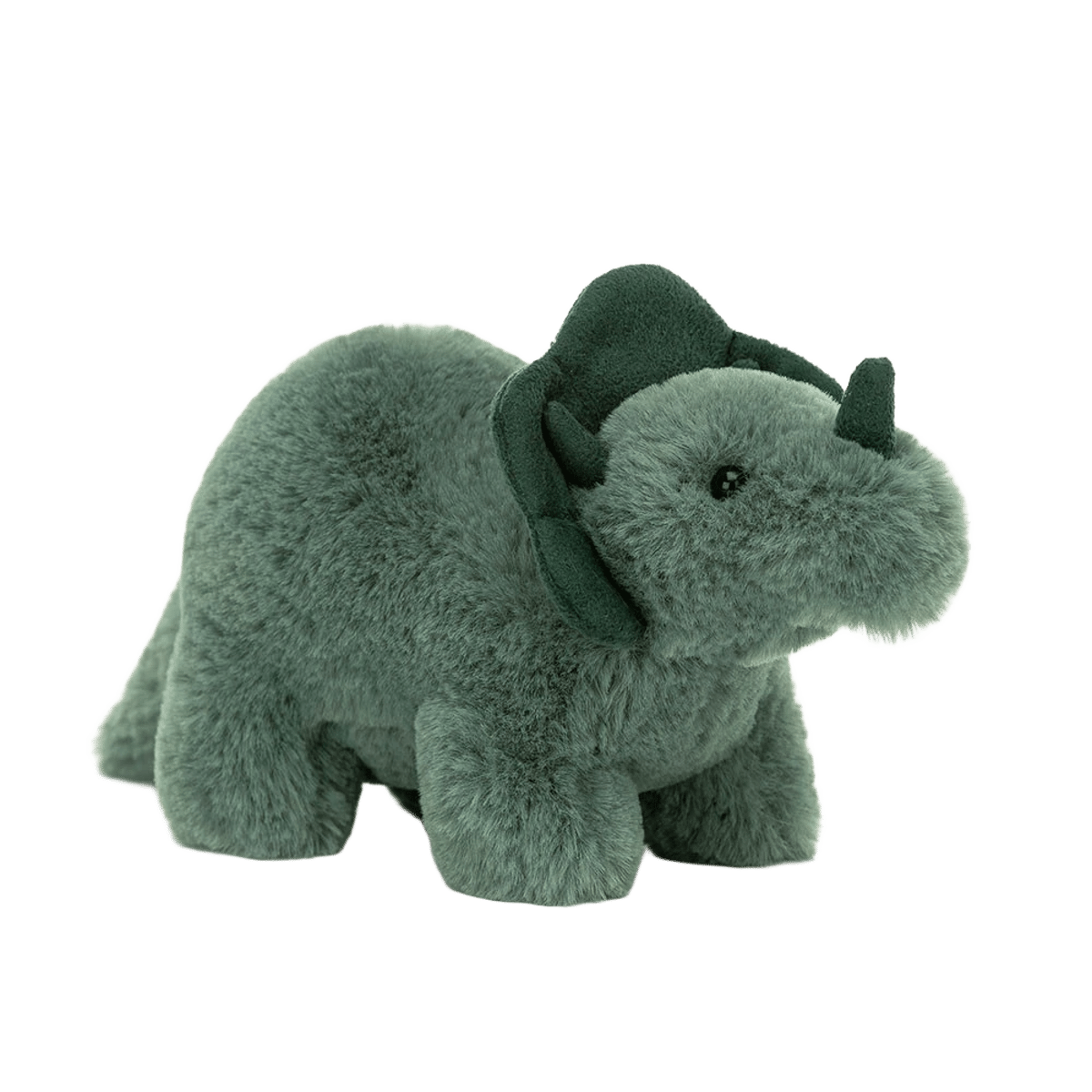 Fossilly Triceratops