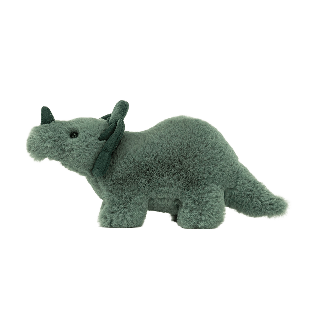 Fossilly Triceratops