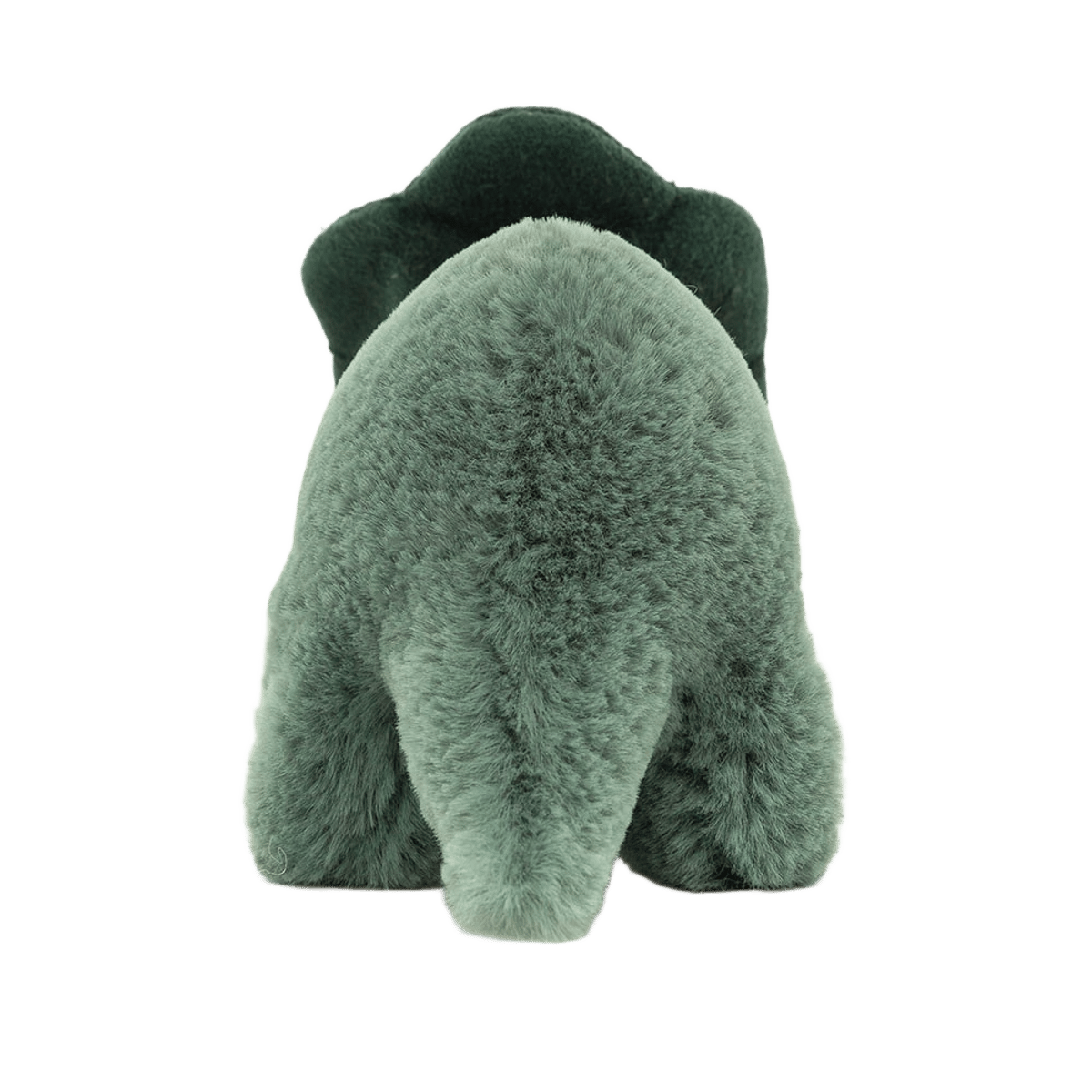 Fossilly Triceratops