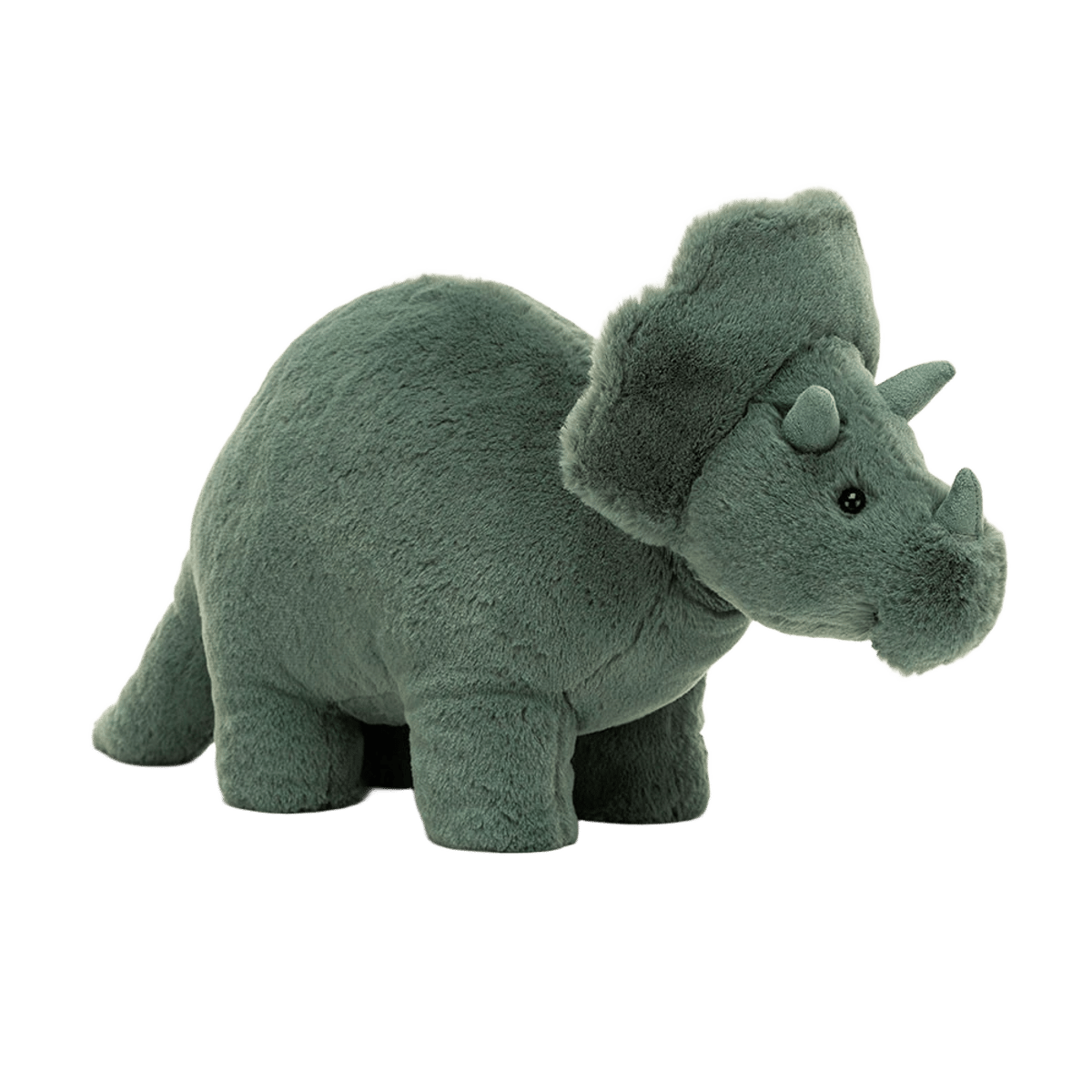 Fossilly Triceratops