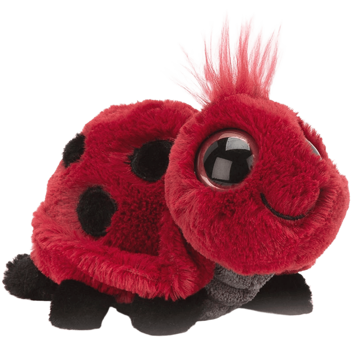 Frizzles Ladybird