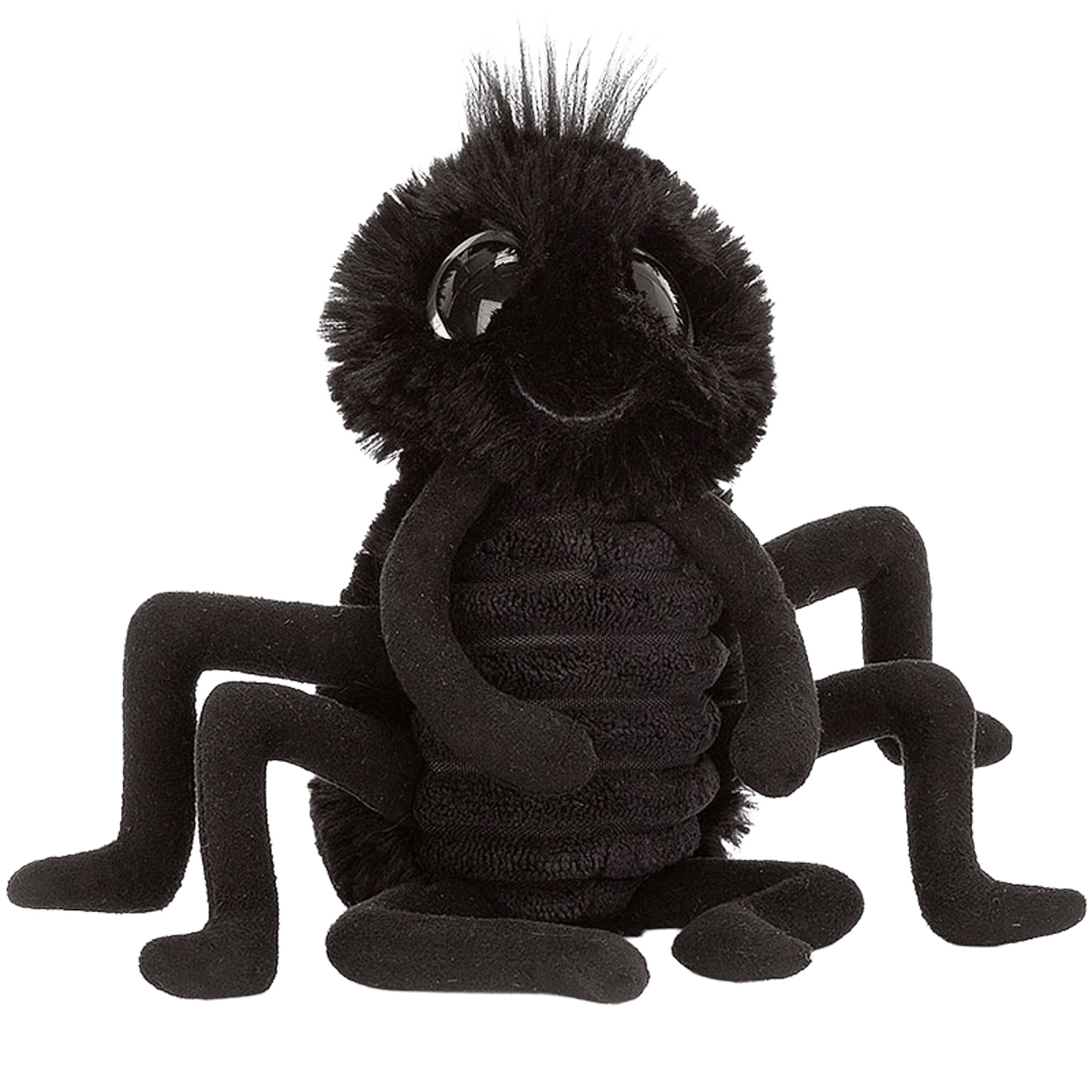 Frizzles Spider