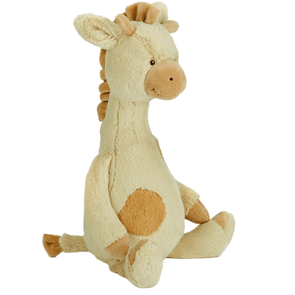 Gentle Giraffe