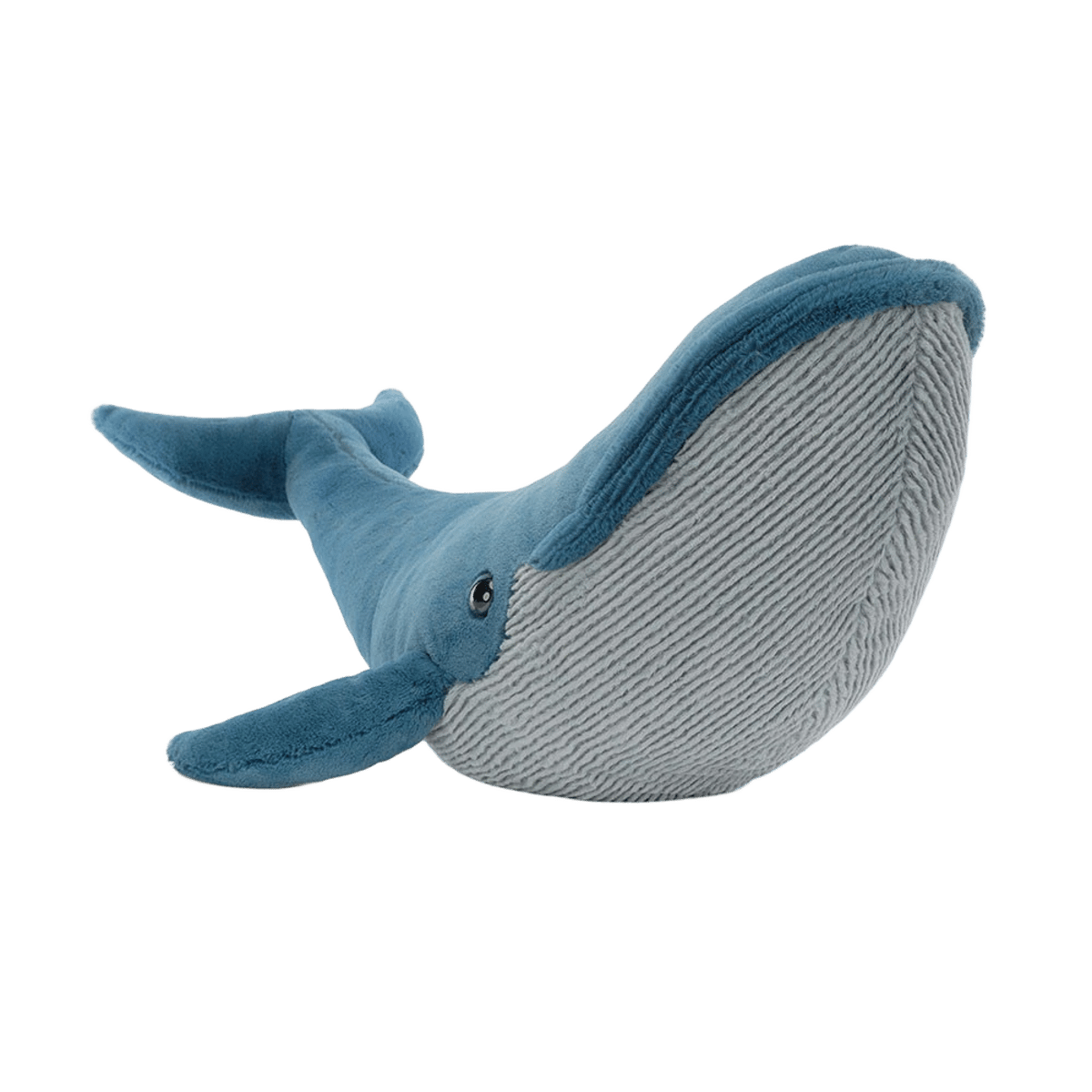 Gilbert the Great Blue Whale