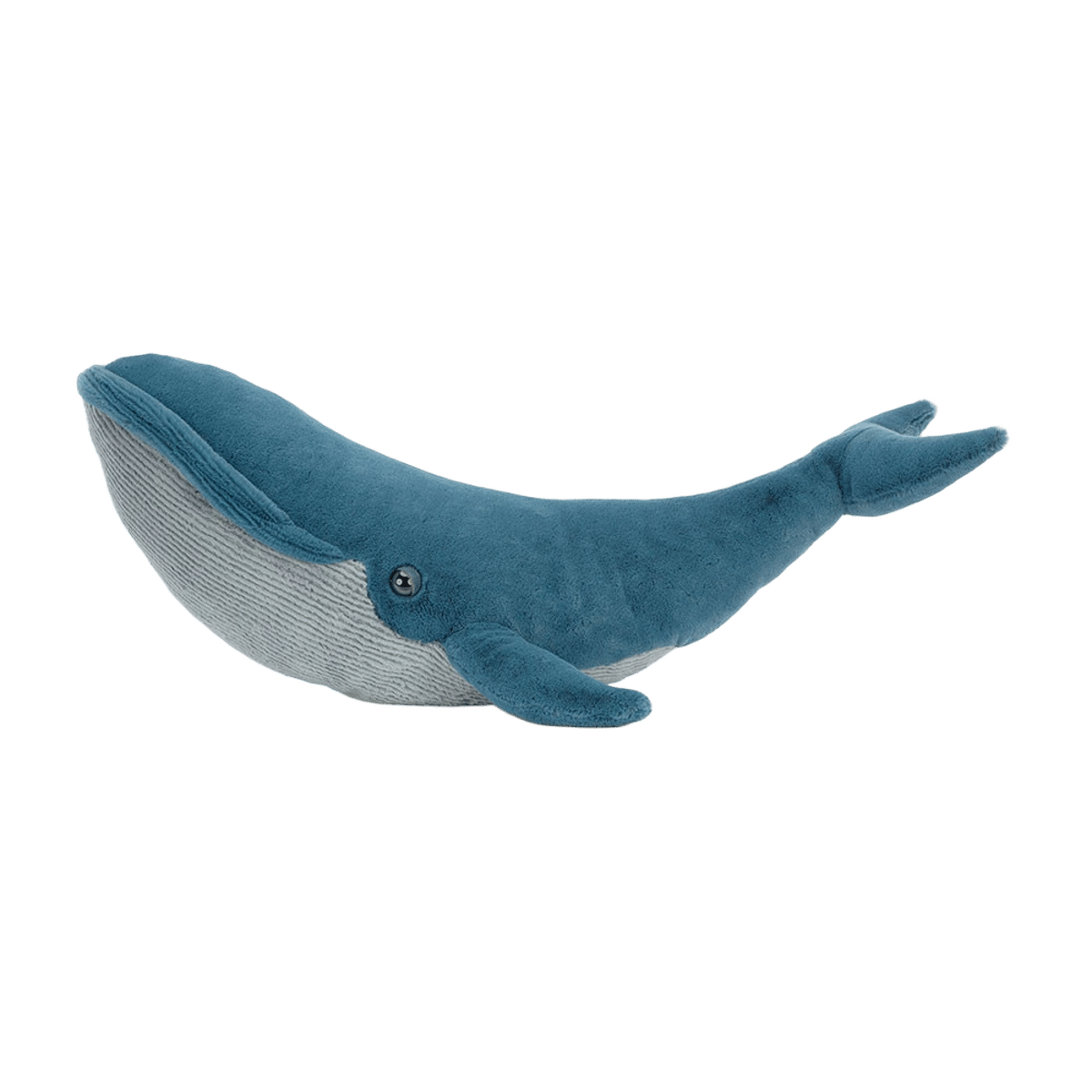 Gilbert the Great Blue Whale