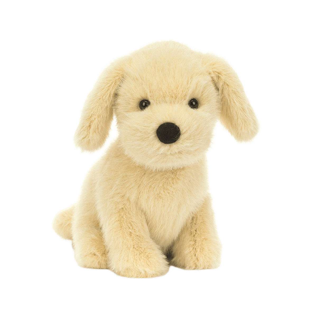 Golden Puppy