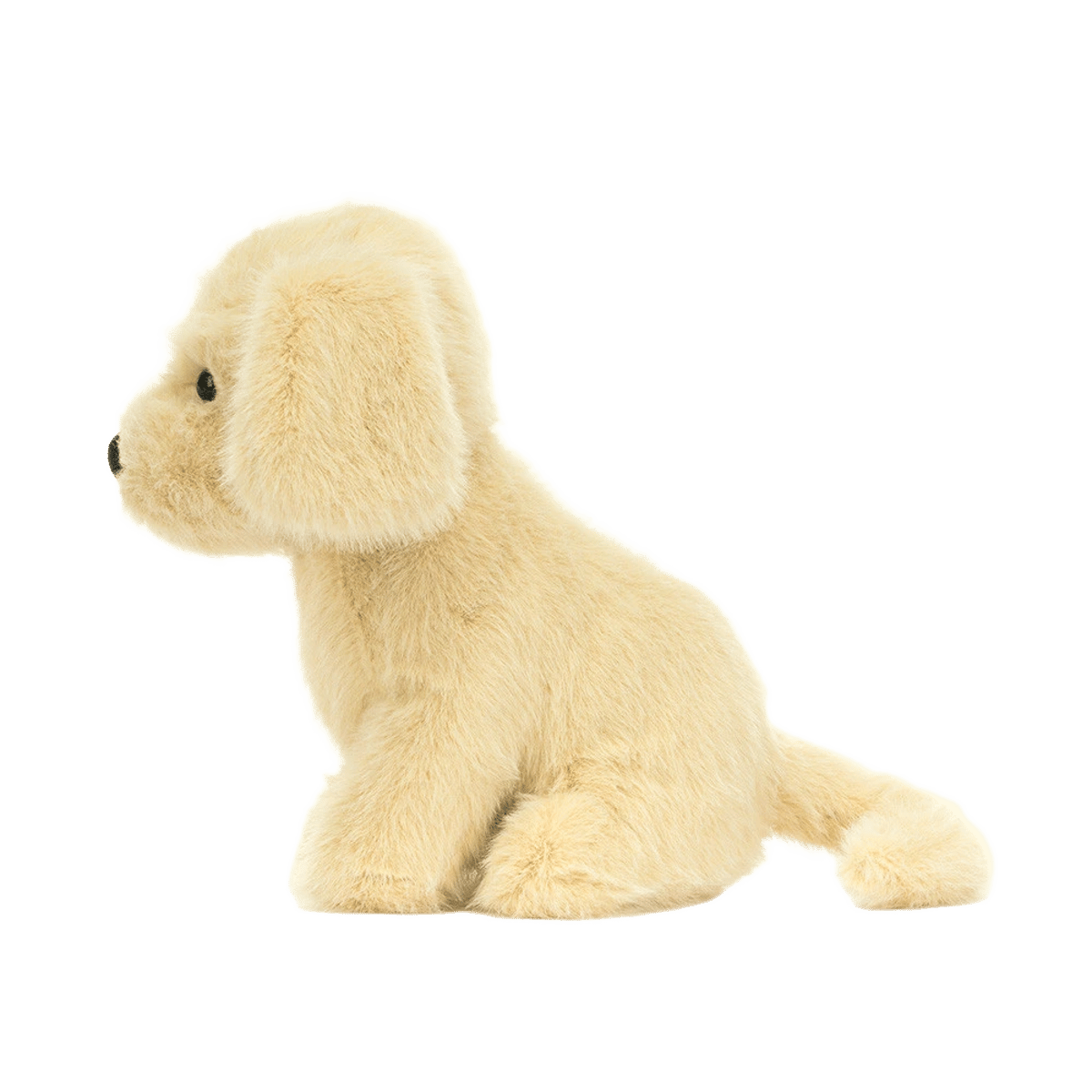Golden Puppy